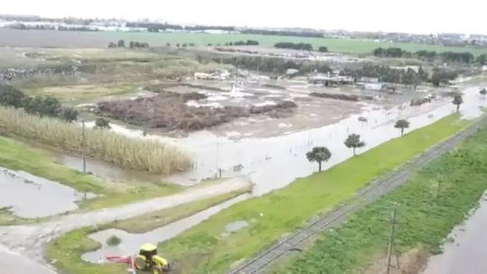 tras-11-meses-de-inundacion-en-la-provincia-de-buenos-aires,-ya-hay-“lotes-donde-se-perdieron-totalmente-los-cultivos”