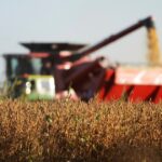 tras-el-anuncio-de-la-baja-de-retenciones-a-partir-de-2027:-¿cuanta-soja-ya-vendieron-los-productores-y-como-van-a-vender-en-los-proximos-meses?