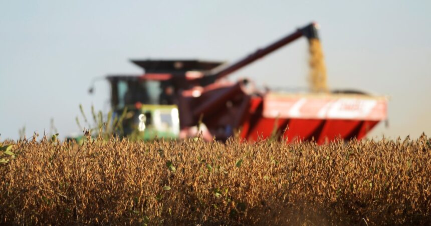 tras-el-anuncio-de-la-baja-de-retenciones-a-partir-de-2027:-¿cuanta-soja-ya-vendieron-los-productores-y-como-van-a-vender-en-los-proximos-meses?