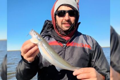 pejerreyes-y-dorados,-protagonistas-del-informe-de-pesca-en-todo-el-pais