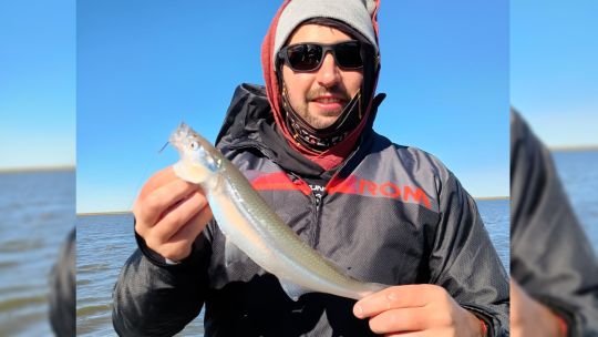 pejerreyes-y-dorados,-protagonistas-del-informe-de-pesca-en-todo-el-pais