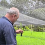 el-vivero-forestal-de-papel-misionero-transita-hacia-la-produccion-clonal-y-consolida-su-patrimonio-con-certificacion-pefc