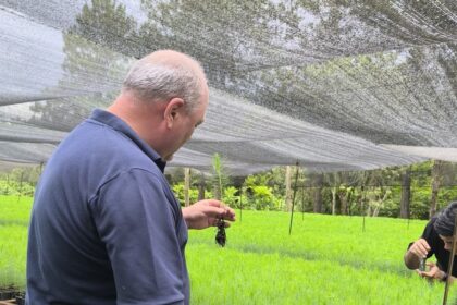 el-vivero-forestal-de-papel-misionero-transita-hacia-la-produccion-clonal-y-consolida-su-patrimonio-con-certificacion-pefc