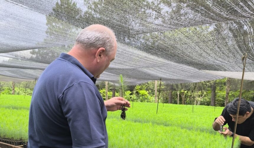 el-vivero-forestal-de-papel-misionero-transita-hacia-la-produccion-clonal-y-consolida-su-patrimonio-con-certificacion-pefc