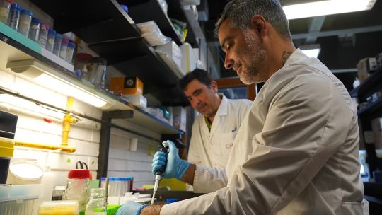 cientificos-argentinos-desarrollaron-un-detector-barato-y-preciso-para-detectar-arsenico-en-el-agua-que-consumen-millones-de-personas