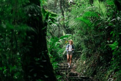 costa-rica-|-desconectar-con-un-entorno-forestal-y-autentico-en-biodiversidad,-el-nuevo-lujo-que-hoy-busca-el-viajero-argentino