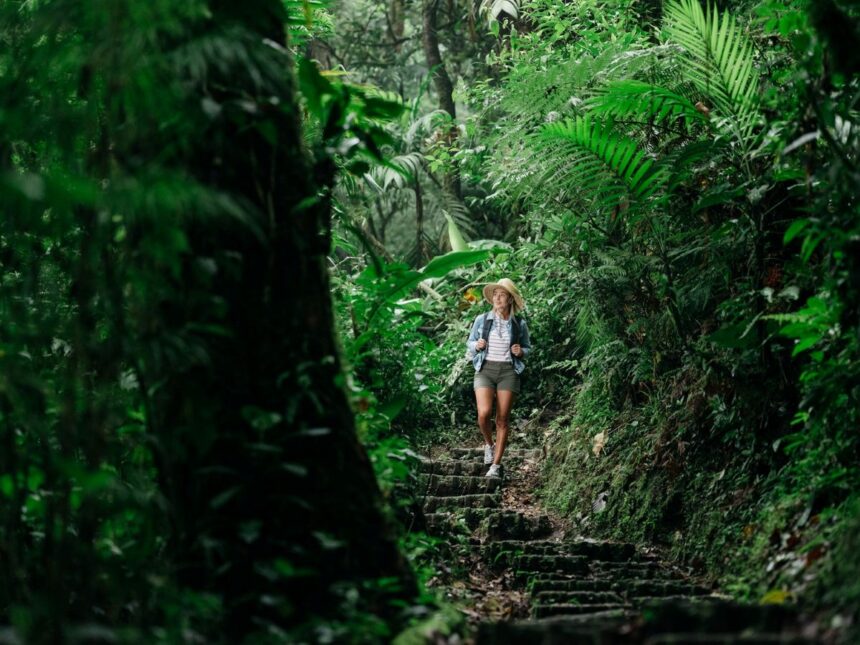 costa-rica-|-desconectar-con-un-entorno-forestal-y-autentico-en-biodiversidad,-el-nuevo-lujo-que-hoy-busca-el-viajero-argentino