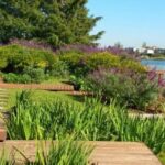 como-mantener-un-jardin-sano-y-atractivo-sin-pasar-horas-cuidandolo