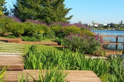como-mantener-un-jardin-sano-y-atractivo-sin-pasar-horas-cuidandolo