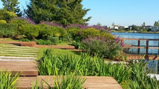como-mantener-un-jardin-sano-y-atractivo-sin-pasar-horas-cuidandolo