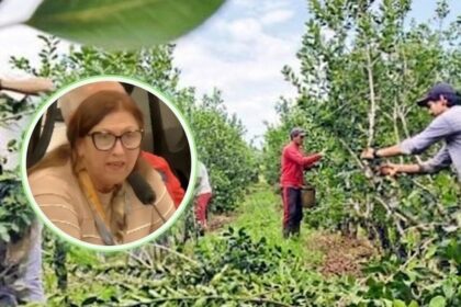 crisis-yerbatera-|-tras-cruzarse-con-diputados-de-la-libertad-avanza-en-el-congreso,-una-productora-misionera-arremetio:-“son-gente-destructiva-y-no-conocen-la-chacra”