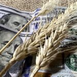 baja-de-retenciones:-estiman-que-mejorara-la-rentabilidad-agricola-y-ayudara-a-sostener-exportaciones