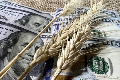 baja-de-retenciones:-estiman-que-mejorara-la-rentabilidad-agricola-y-ayudara-a-sostener-exportaciones