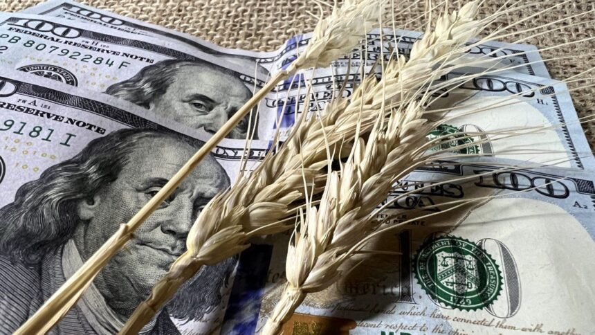 baja-de-retenciones:-estiman-que-mejorara-la-rentabilidad-agricola-y-ayudara-a-sostener-exportaciones