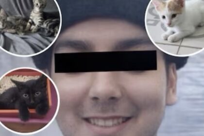 asesino-serial-de-gatitos:-acusan-a-un-macabro-chef-de-recoleta