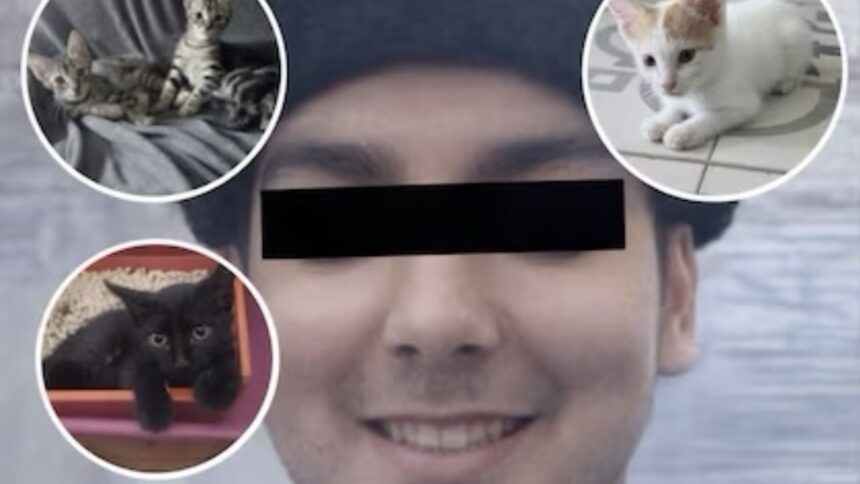 asesino-serial-de-gatitos:-acusan-a-un-macabro-chef-de-recoleta