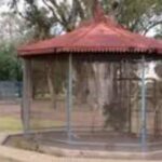 reconvertiran-un-historico-parque-municipal-de-bahia-blanca-en-un-gran-pulmon-verde