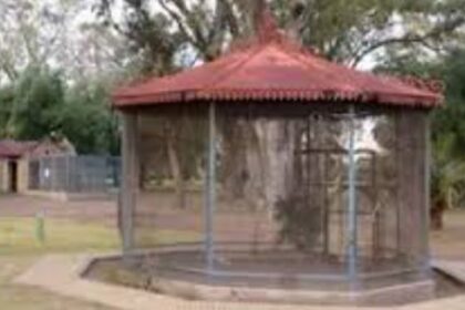 reconvertiran-un-historico-parque-municipal-de-bahia-blanca-en-un-gran-pulmon-verde