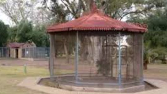 reconvertiran-un-historico-parque-municipal-de-bahia-blanca-en-un-gran-pulmon-verde