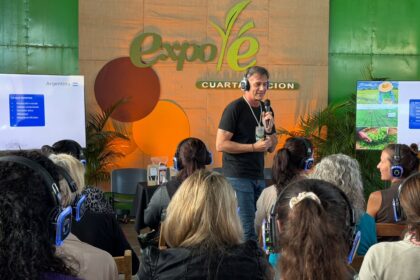 el-desafio-del-te-argentino:-construir-una-identidad-para-ganar-valor-en-los-mercados-internacionales