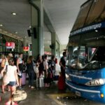 el-gobierno-elimino-las-compensaciones-economicas-a-las-empresas-de-transporte-por-los-pasajes-gratuitos-para-personas-con-discapacidad