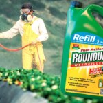 alerta-sanitaria:-la-justicia-pide-prohibir-el-famoso-herbicida-roundup-por-ser-nocivo-para-la-salud