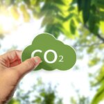negocio-verde-en-corrientes:-una-empresa-ganadera-vendera-creditos-por-capturar-carbono-en-los-esteros-del-ibera