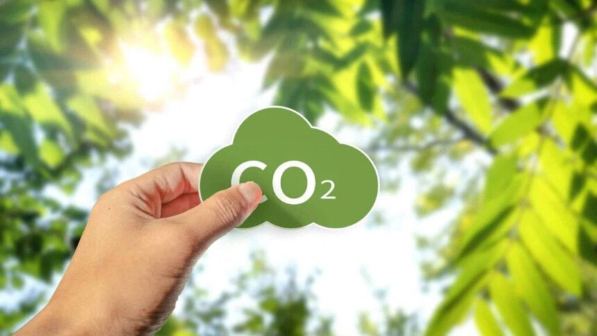 negocio-verde-en-corrientes:-una-empresa-ganadera-vendera-creditos-por-capturar-carbono-en-los-esteros-del-ibera