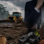 denuncian-a-reconocidos-empresarios-por-delito-ambiental:-por-que-se-habla-de-la-“mafia-de-los-desmontes”