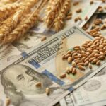 el-agro-cayo-por-las-lluvias-y-problemas-logisticos,-aunque-mantiene-niveles-record-de-exportaciones