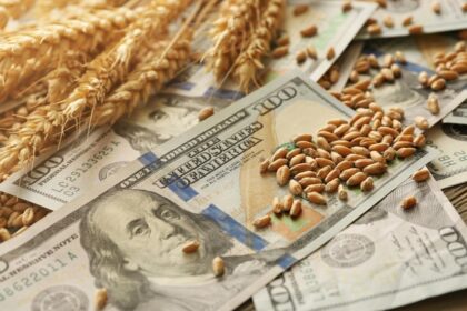 el-agro-cayo-por-las-lluvias-y-problemas-logisticos,-aunque-mantiene-niveles-record-de-exportaciones