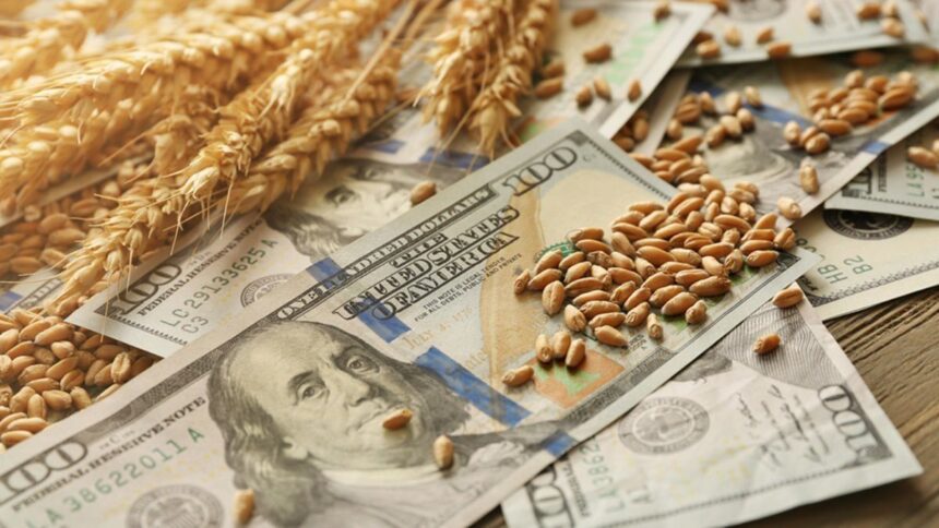 el-agro-cayo-por-las-lluvias-y-problemas-logisticos,-aunque-mantiene-niveles-record-de-exportaciones