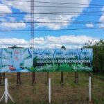 la-biofabrica-cerro-su-primer-balance-positivo-en-18-anos:-“la-biotecnologia-puede-ser-sustentable,-generar-valor-y-ocupar-un-lugar-real-dentro-de-la-economia-misionera”
