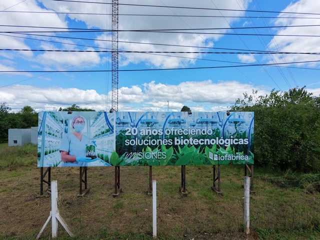 la-biofabrica-cerro-su-primer-balance-positivo-en-18-anos:-“la-biotecnologia-puede-ser-sustentable,-generar-valor-y-ocupar-un-lugar-real-dentro-de-la-economia-misionera”
