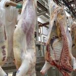 exportacion-de-carne:-el-gobierno-abrio-la-inscripcion-para-la-cuota-hilton-2026-2027