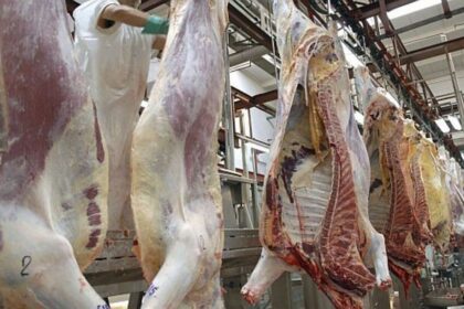 exportacion-de-carne:-el-gobierno-abrio-la-inscripcion-para-la-cuota-hilton-2026-2027
