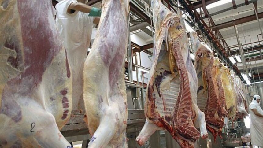 exportacion-de-carne:-el-gobierno-abrio-la-inscripcion-para-la-cuota-hilton-2026-2027