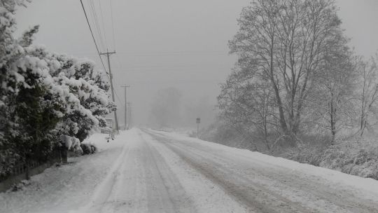 ola-polar:-que-provincias-continuaran-afectadas-y-hasta-cuando