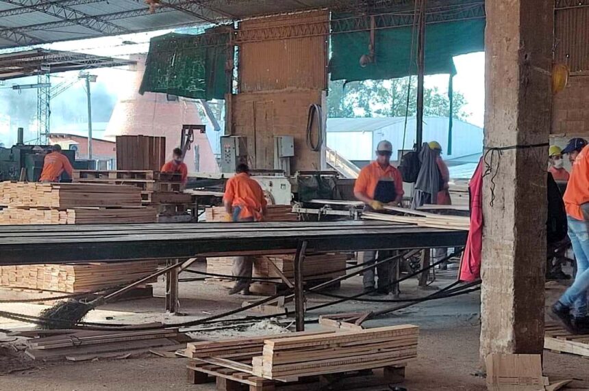 “la-culpa-no-es-de-los-trabajadores”:-el-gremio-de-madereros-cargo-contra-el-dueno-de-linor-y-su-“mala-administracion”-tras-el-cierre-del-aserradero