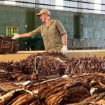 misiones-|-el-acopio-tabacalero-de-la-campana-2025/26-supero-al-del-ano-pasado-y-marco-un-nuevo-record-con-mas-de-40-millones-de-kilos