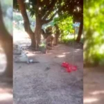 balacera-deja-un-fallecido-y-dos-heridos-en-el-municipio-de-san-matias