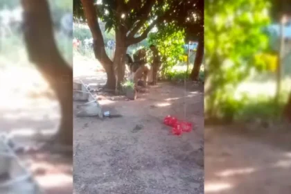 balacera-deja-un-fallecido-y-dos-heridos-en-el-municipio-de-san-matias