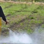 la-justicia-freno-las-fumigaciones-cerca-de-barrios-y-reabre-la-guerra-por-los-agroquimicos-en-entre-rios