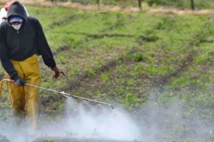 la-justicia-freno-las-fumigaciones-cerca-de-barrios-y-reabre-la-guerra-por-los-agroquimicos-en-entre-rios