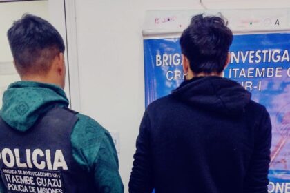 robaba-cables-trifasicos-en-posadas-y-la-policia-evito-un-posible-corte-de-energia-en-un-barrio