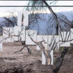 con-carbon-de-arboles-calcinados,-otto-soria-hizo-una-impactante-obra-de-arte