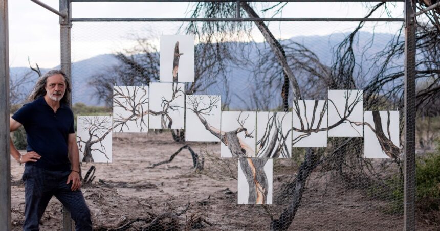 con-carbon-de-arboles-calcinados,-otto-soria-hizo-una-impactante-obra-de-arte