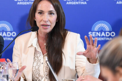 por-pedido-de-milei,-vetan-el-pliego-de-una-candidata-a-jueza-por-su-vinculo-familiar-con-un-periodista