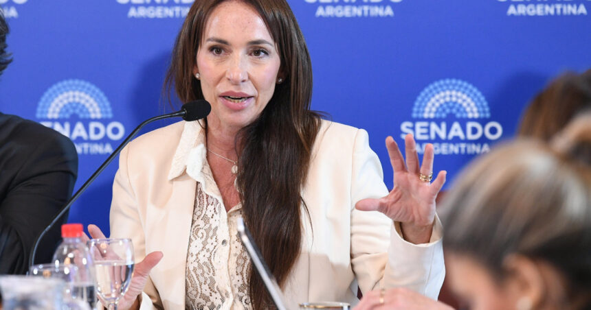 por-pedido-de-milei,-vetan-el-pliego-de-una-candidata-a-jueza-por-su-vinculo-familiar-con-un-periodista
