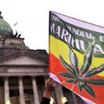 venta-libre,-autocultivo-y-borron-penal:-la-izquierda-presento-un-proyecto-para-legalizar-la-marihuana-al-100%